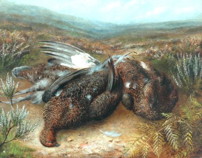 Grouse mort dans un paysage - Unknown